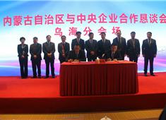 Wuling Enters into Wuhai Solar Project Agreement